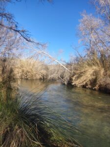 Ribera Reserva de Sotos y Bosques de Cañaverosa