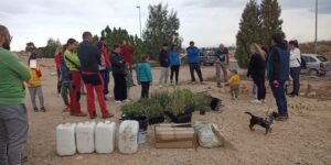 Plantación La Vaguada