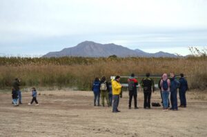 Ruta por El Espigar, asistentes cerca del jaulón de aclimatación de las Cercetas pardillas