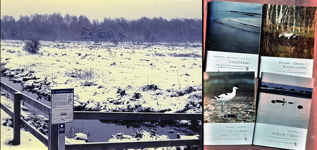 península de Falsterbo