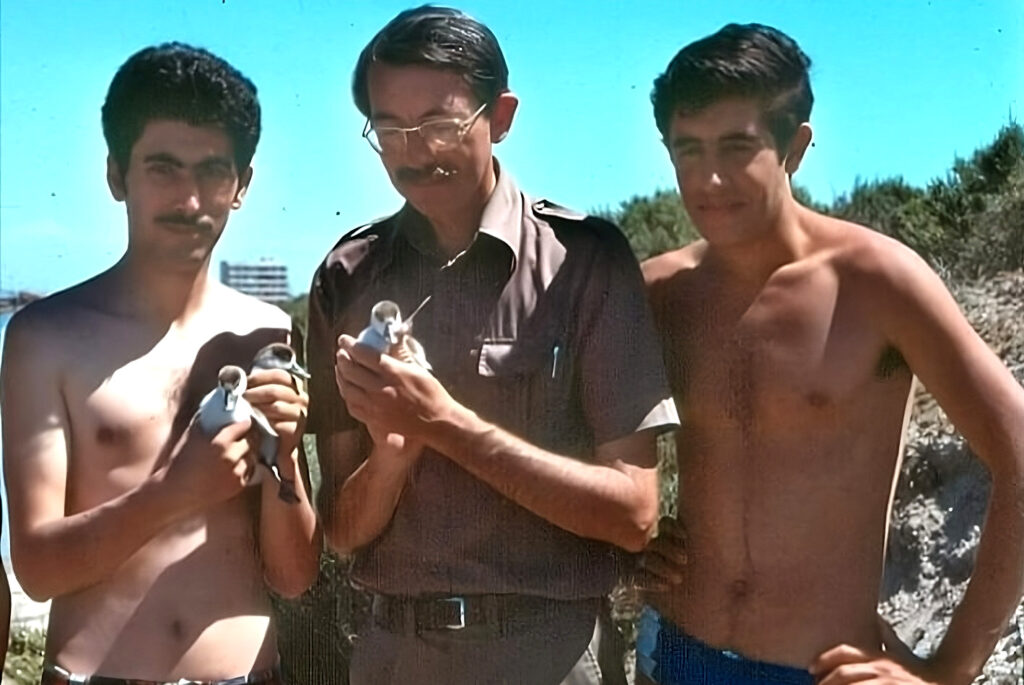 talavera.macivor.pedro.rosique