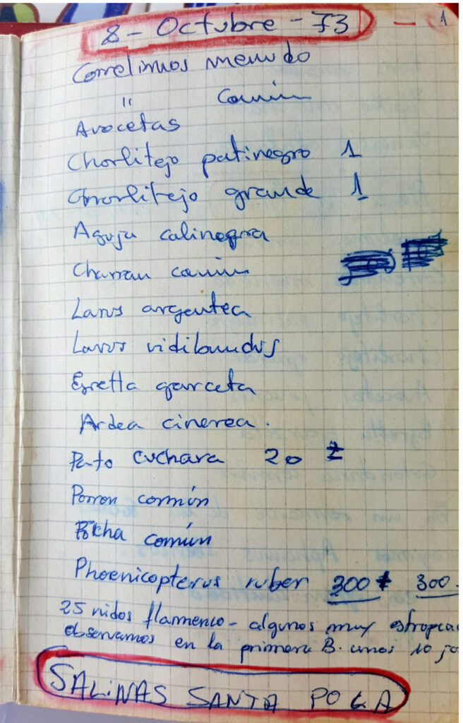 Cuadernos de campo