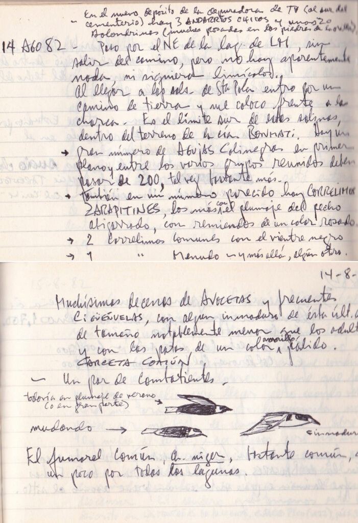 Cuaderno de campo