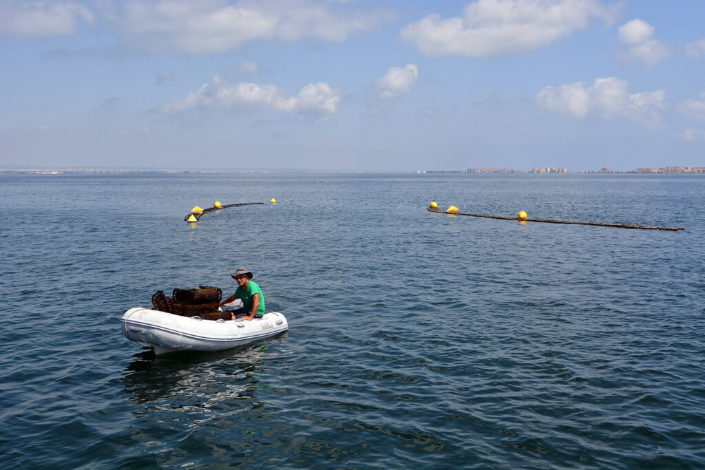 Traslado de las ostras hasta el catamarán WWF Solar para su seguimiento